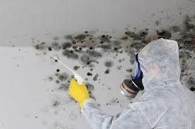 Mold Odor Removal Services in Millstadt, IL